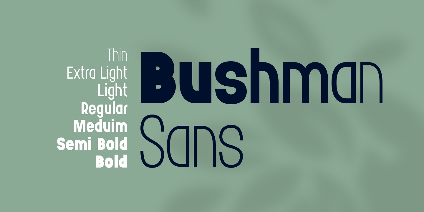 Пример шрифта Bushman Sans Extra Light
